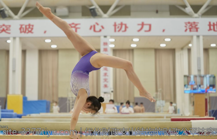 优化财政支出结构的财政公平法案建议