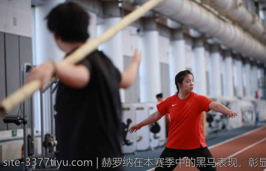 赫罗纳在本赛季中的黑马表现，彰显球队的崛起潜力