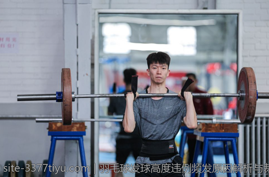 意甲顶级射手单赛季最高进球数的背后故事