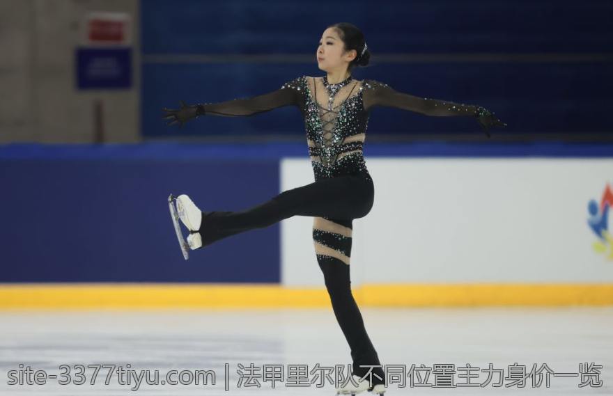 法甲里尔队不同位置主力身价一览