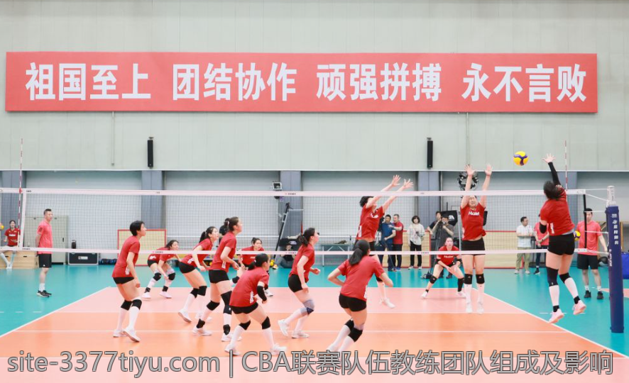 CBA联赛队伍教练团队组成及影响