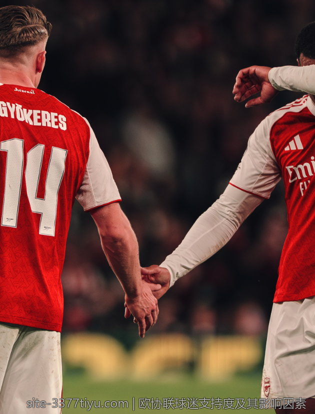 欧协联球迷支持度及其影响因素